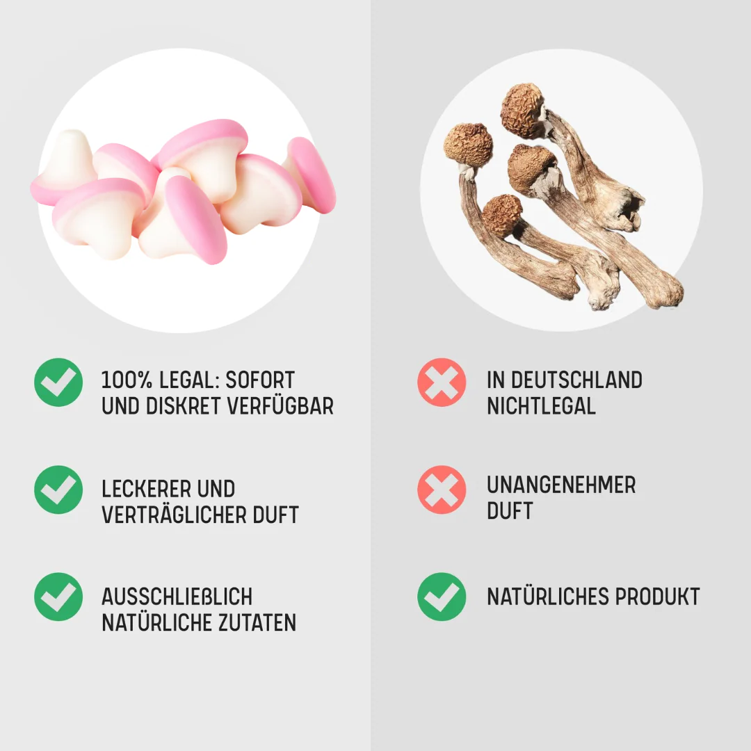 🍄 4-Pro-Met Mushroom Gummis - Image 3