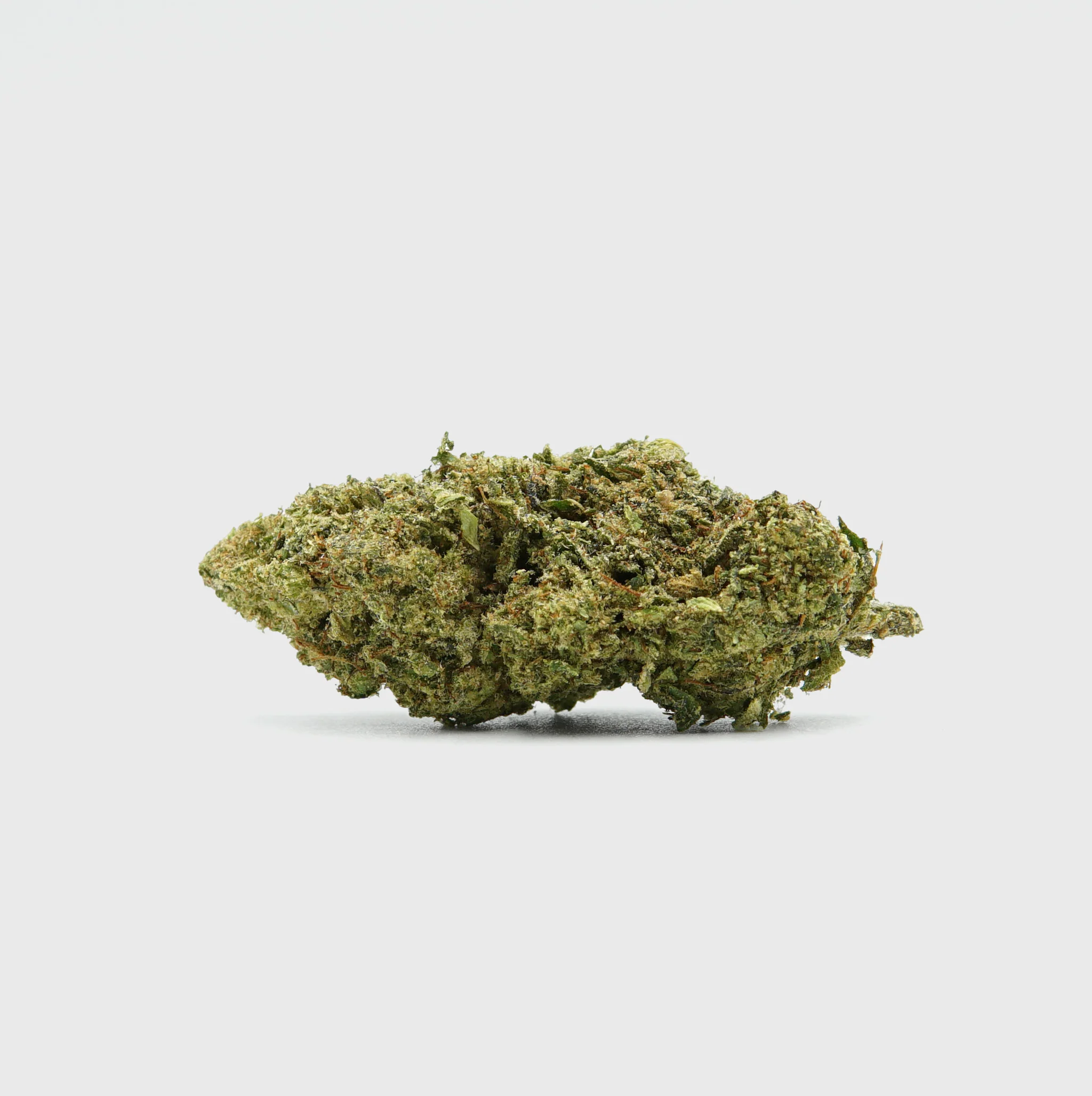 💨Vollis Turbobud - SATIVA TURBO LVL 5/5
